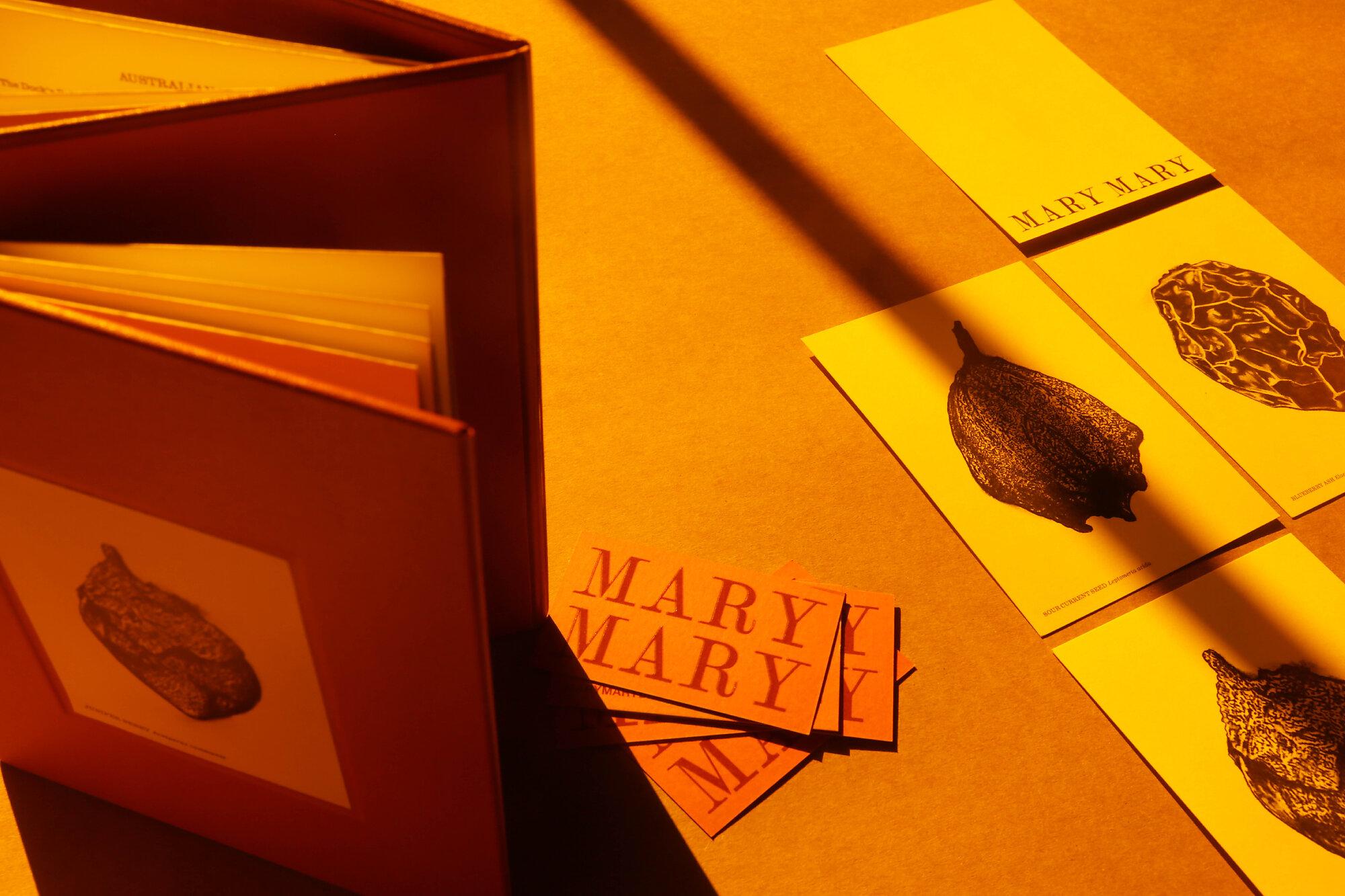 Interior photograph of Mary Mary Brand Identity by Matt Edwards